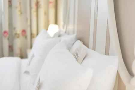 Gatto Perso Luxury Studio - 36