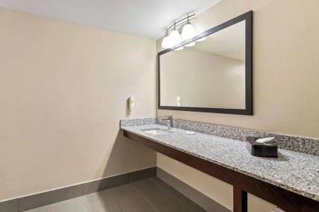 Comfort Inn & Suites Downtown - 45