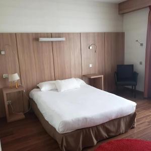 Kyriad Tours Centre - 30