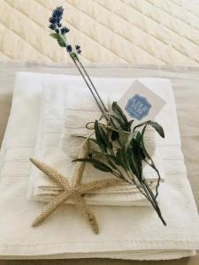 a Due Passi b&b - 39
