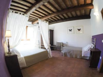 Agriturismo Boschi di Montecalvi - 69
