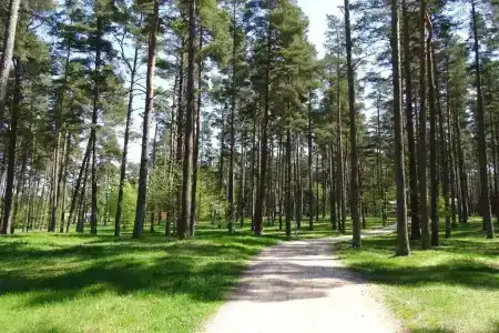 Piejūras Kempings - 27
