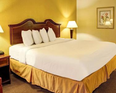 Quality Inn North - 22