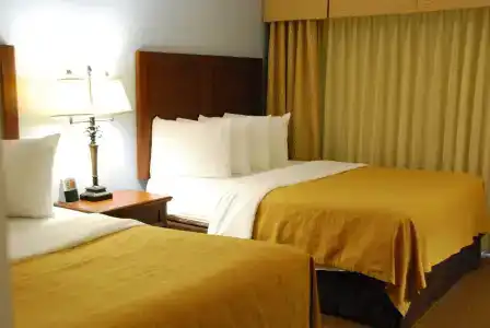Coconut Cove All Suite - 3