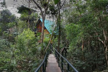 Khao sok tree house resort - 33