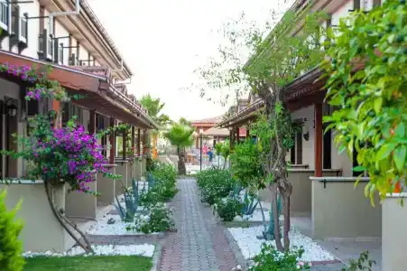 Portakal Dalyan - 63