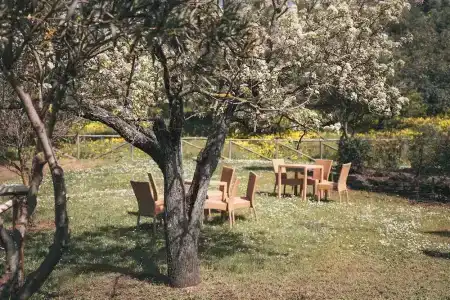Agriturismo i Moresani - 20