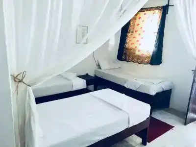 Coco Beach - 3