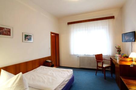ArtAna Eden - 6
