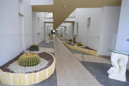 Arena Suites - 9