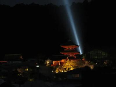 Terrace Kiyomizu Kyoto - 10
