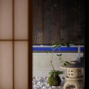 Kaminarimon Ryokan - 45