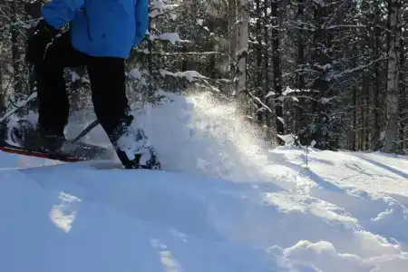 Arctic Heart - 15
