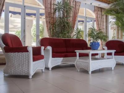 Terraza Carmona - 11