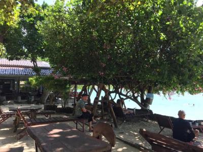 Big Fish Resort Koh Tao - 21