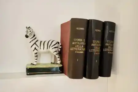 Apart Zebra - 33