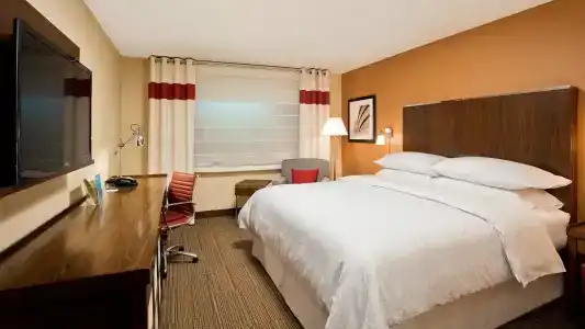 Four Points by Sheraton New York Downtown - 5
