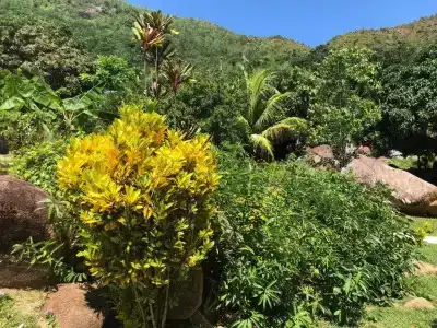 Mirella Villa - 21
