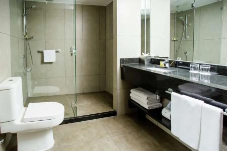 DoubleTree by Hilton - Vitacura - 53