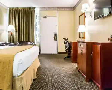 Quality Inn Airport - Cruise Port - 31