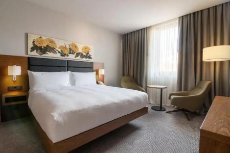 Hilton Garden Inn Tbilisi Chavchavadze - 57