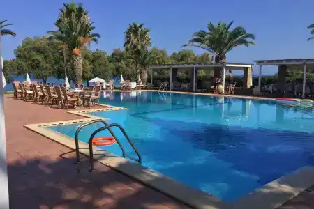 Oasis - 9