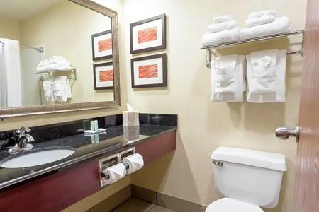 Comfort Inn Civic Center - 65