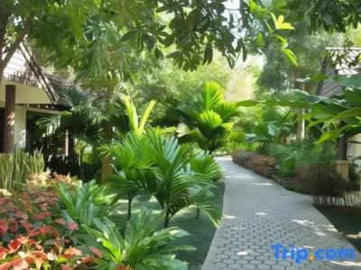 Laluna And Resort, Chiang Rai - 59