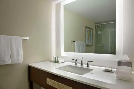 Hilton Miami Airport Blue Lagoon - 57