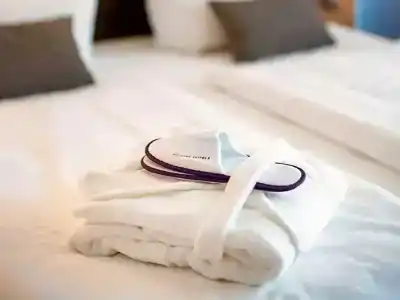 Mercure Mainz City Center - 106