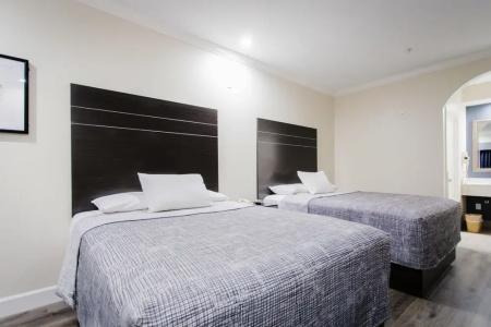 Palace Inn Tx-249 - 21