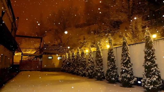 Park Avenue Yerevan - 17