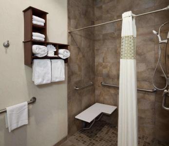 Hampton Inn & Suites Dallas-Arlington-South - 59