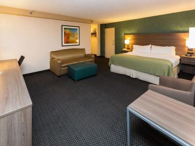Holiday Inn-Downtown-Mercy Campus, An Ihg - 4