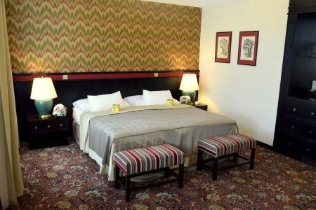 Savoy by Prague Castle - Free Garage Mo - Sun - 30