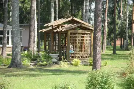 Зеленый городок - 22