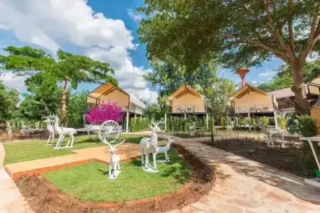Mont Blanc Base Camp Khaoyai - 85