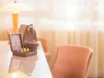 Mercure Limoges Centre - 11