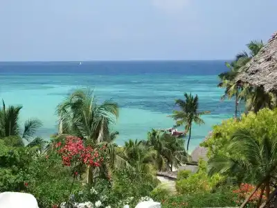 Zan View - 18