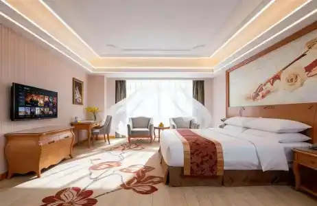 Vienna Dongguan Shi - 4