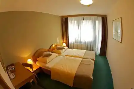 Arena Wellness - 31