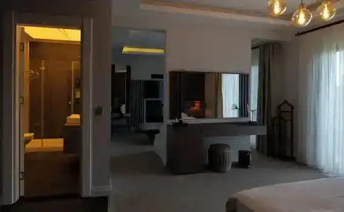 Didi - 100
