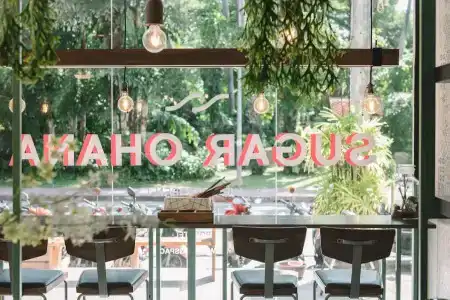 Sugar Ohana Poshtel - 9