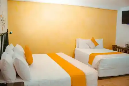 Oaxaca Real - 58