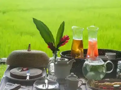 Maya - 10