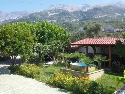 Yard Paradise - 37