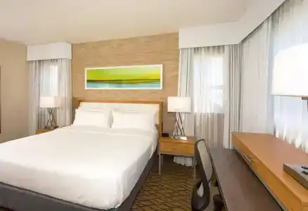 Holiday Inn Miami Beach-Oceanfront, an IHG - 5
