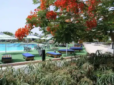 Red Sea Ghazala Gardens - 14