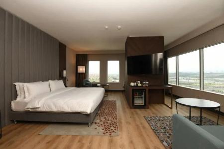 Crowne Plaza - Crowne Plaza Ankara, An Ihg - 51