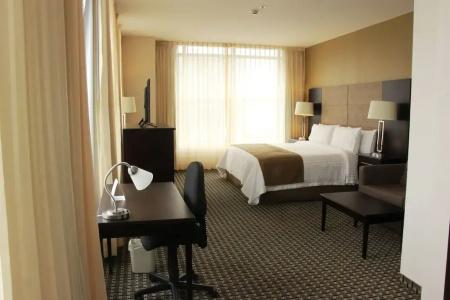 Holiday Inn Mexico Santa Fe, An Ihg - 46